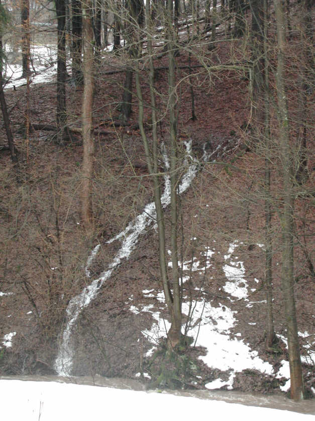 Hochwasser oberhalb von Truckenthal; Foto: Kathleen Heilfort